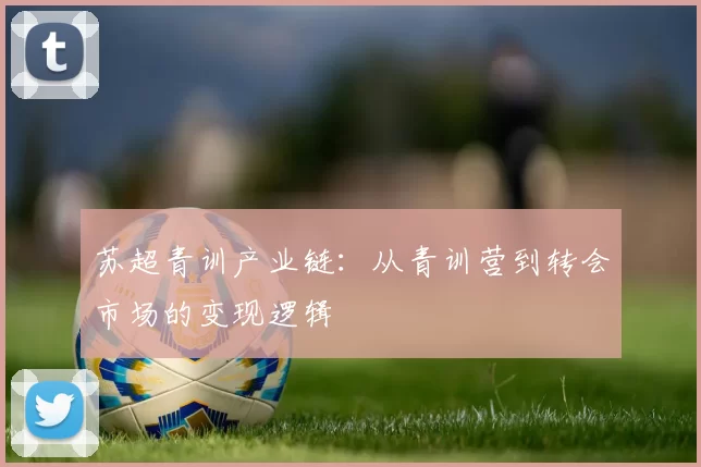 苏超青训产业链：从青训营到转会市场的变现逻辑
