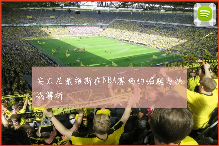 安东尼戴维斯在NBA赛场的崛起与挑战解析