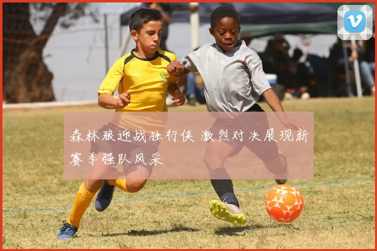 森林狼迎战独行侠 激烈对决展现新赛季强队风采