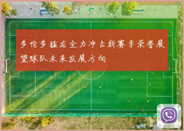 多伦多猛龙全力冲击新赛季荣誉展望球队未来发展方向