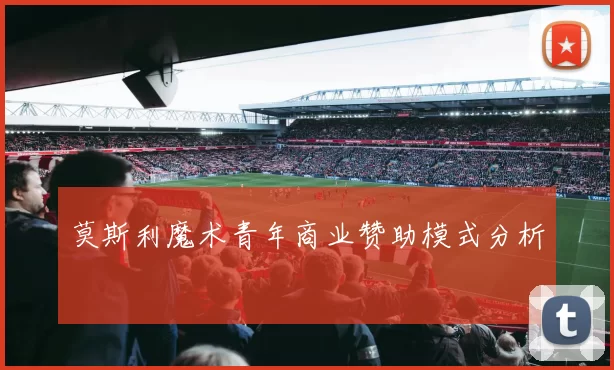 莫斯利魔术青年商业赞助模式分析