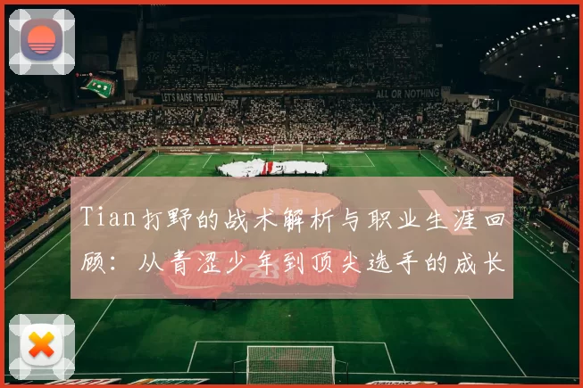 Tian打野的战术解析与职业生涯回顾：从青涩少年到顶尖选手的成长之路