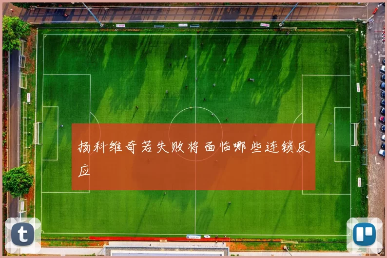 扬科维奇若失败将面临哪些连锁反应