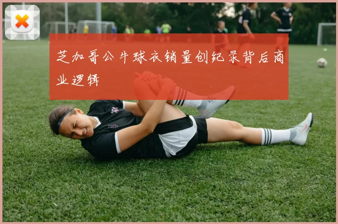 芝加哥公牛球衣销量创纪录背后商业逻辑