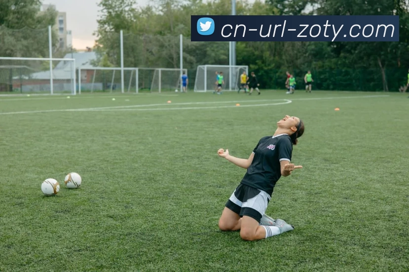 中欧官方网站APP 高清赛事图